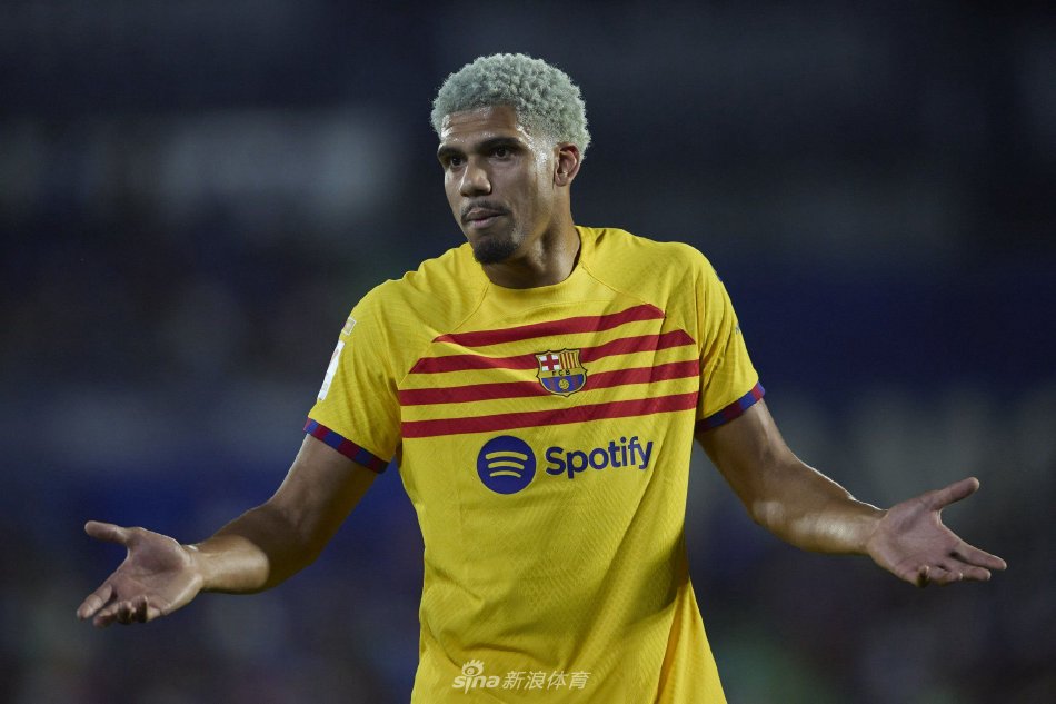 入了新的活 入了新的活